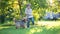 Cute little boy playing with Australian terrier pet dog in sunny summer backyard