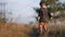 Cute little boy playing with beagle puppy on countryside nature background. Child stroking, training dog. Happy lovely