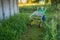 A cute little boy pushes a wheelbarrow