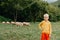 Cute little boy with a sheeps on farm, best friends, boy and lamb against the backdrop of greenery