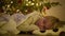 Cute little boy sleeping under the tree on Christmas Eve. Child waiting Santa Claus. Baby hopes of magic and gifts at Christmas an