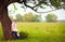 Cute little boy under the big blooming pear tree, countryside