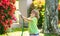 Cute little boy watering flowers in the garden at summer day. Child using garden hose. Funny kid watering plants in the