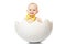 Cute little boy with with a yellow butterfly in Easter egg on white background. baby in egg shell. Kinder Surprise