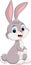 Cute little bunny cartoon