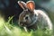 A cute little bunny nibbling on some grass Generative AI