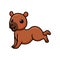 Cute little capybara cartoon posing