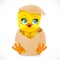 Cute little cartoon chick hatched from an egg isolated on a white