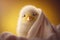 Cute little chick peeks out from under the blanket, generated by AI