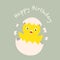 Cute little chicken in broken egg and words Happy Birthday Vector Illustration