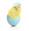 Cute little chicken coming out of the Easter egg