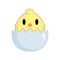 Cute little chicken in a cracked egg. Easter themed, yellow cartoon chicken with cracked eggshell. Vector