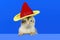 Cute little chicken wearing a hat on colored background with copy space.