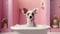 Cute little chihuahua dog taking a bath in the bathroom