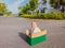 Cute little child boy sitting inside cardboard box on silent street in modern comfortable cottage village. Childhood and