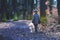 Cute little child, holding lantern and teddy bear in forest