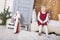 Cute little child sit in wardrobe at christmas