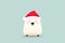 cute little christmas icebear AI generated