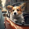 cute little corgi dog travel in the car