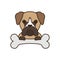 Cute little dog bull mastiff with bone fill style icon