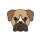 Cute little dog bull mastiff head fill style icon