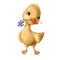 Cute little duck with flower, watercolor illustration, summer holiday clipart with cartoon character