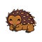 Cute little echidna cartoon character