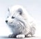 Cute little fantastic white fluffy animal,