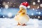 Cute little festive duck wearing a Father Christmas santa hat