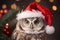 Cute little festive owl wearing a Father Christmas santa hat