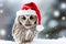 Cute little festive owl wearing a Father Christmas santa hat