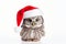 Cute little festive owl wearing a Father Christmas santa hat