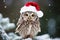 Cute little festive owl wearing a Father Christmas santa hat