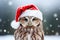 Cute little festive owl wearing a Father Christmas santa hat