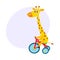 Cute little giraffe character riding bicycle, tricycle, cycling, cartoon illustration