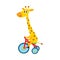 Cute little giraffe character riding bicycle, tricycle, cycling, cartoon illustration