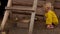 Cute little girl is amused by the ducklings walking on the bird farm backyard