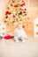 Cute little girl with blond hair plays in a bright room decorated with Christmas garlands near the Christmas tree.