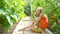 Cute little girl collects crop cucumbers and tomatos in greenhouse