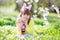 Cute little girl with curly hair wearing bunny ears and summer dress having fun during Easter egg hunt relaxing in the garden