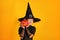 Cute little girl dressed in a witch costume holds a pumpkin jack lantern on a yellow background. Halloween celebration