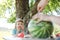 cute little girl eating watermelon outdoors in summertime. Child and watermelon in summer.