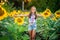 Cute little girl in a field of sunflowers. Summer cozy mood