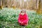 Cute little girl with first spring flowers snowflakes on sunny day in forest, outdoors. Child with floor covered with