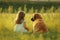 Cute little girl with golden retriever dog on green meadow with Generative AI.