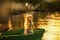 Cute little girl in a hat sitting in a boat on a lake at sunset