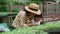 Cute little girl helps her mother take care of tomato saplings in the organic farm.