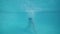 Cute little girl jumps into the pool swims and get her toy underwater