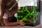 Cute little girl looking at fish in aquarium