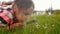 Cute little girl with a magnifying glass in the park looking at the grass